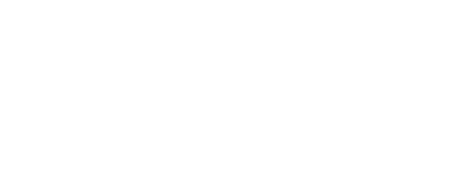 NineBit CIQ Logo